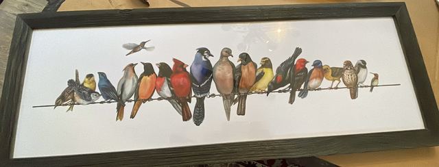 Nature & Wildlife, Decorate Your Walls